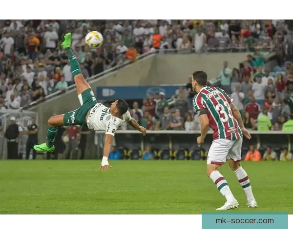 2026世界杯足球盛宴全景解析与全球焦点赛事展望